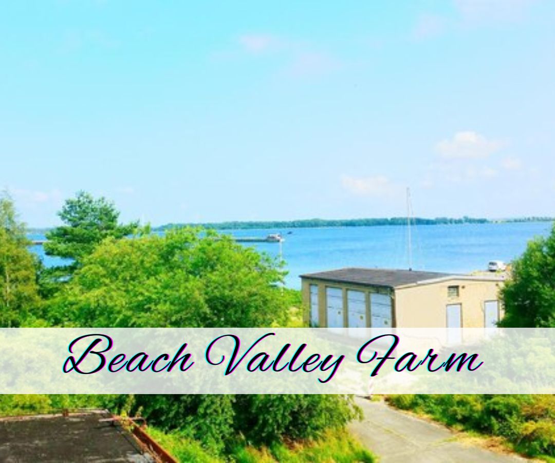 beach valley farm
