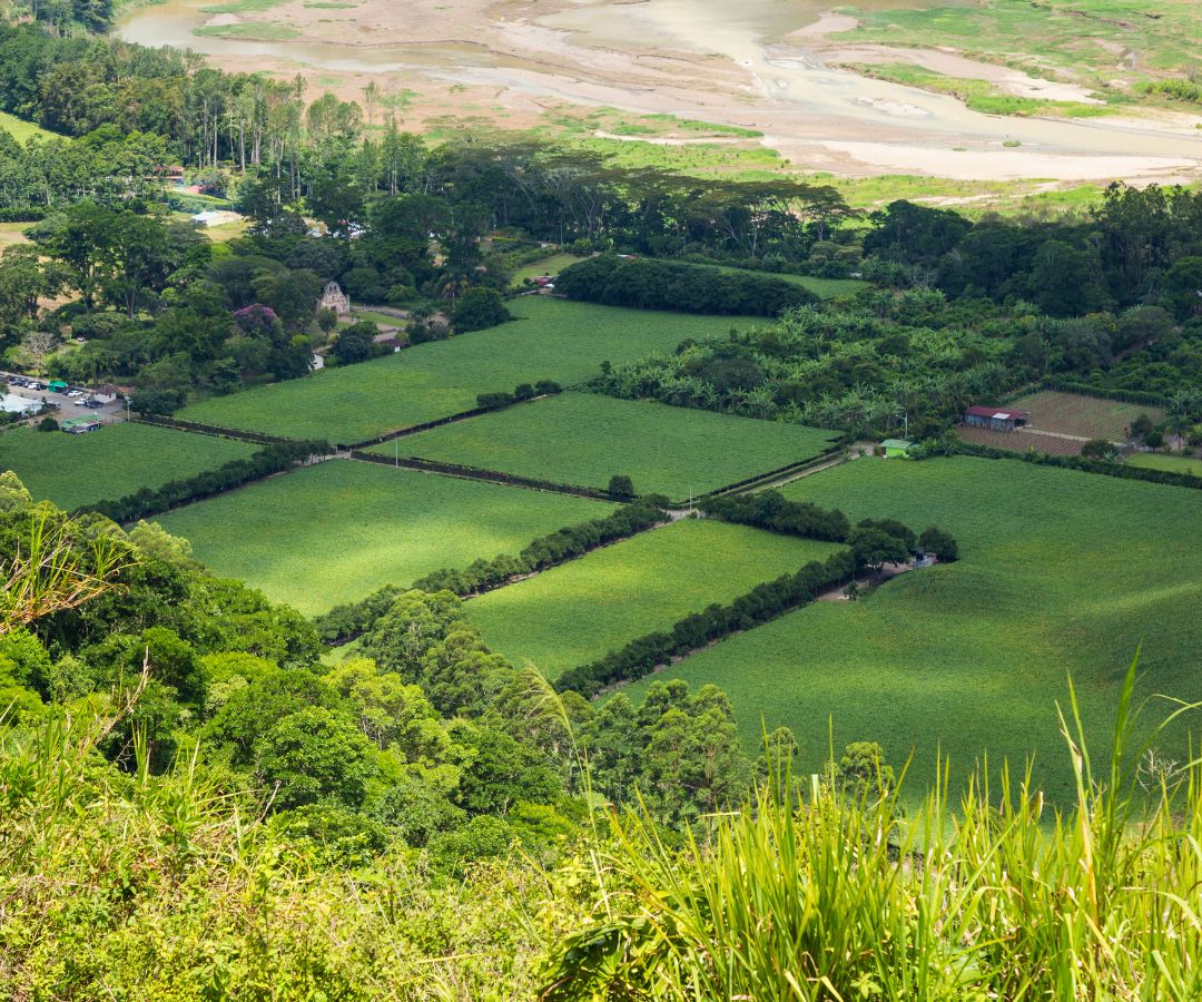 farmhouse & agricultural land2