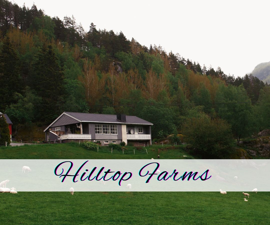 hilltop farms